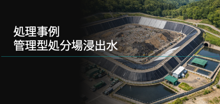 Eleca装置