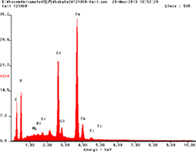 エネルギー分散型X線元素分析装置（EDX）による分析例