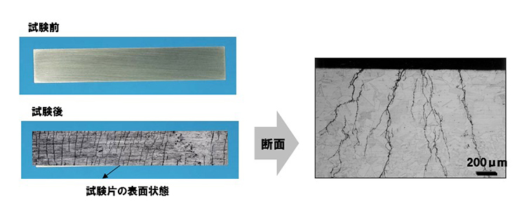 ステンレス鋼の応力腐食割れ　SCC試験