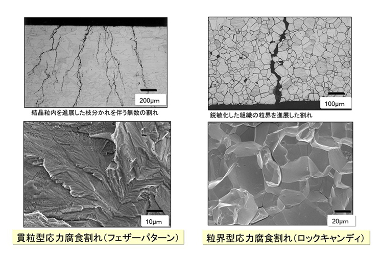 断面破断面観察例