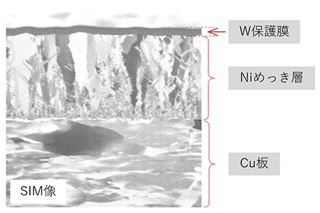 Cu板上のNiめっき断面のSIM観察像