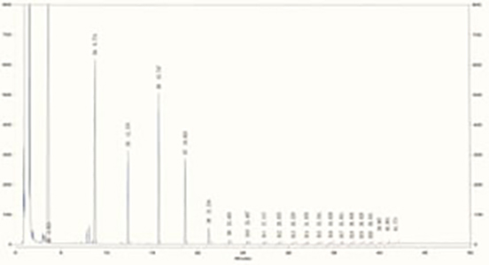 低分子シロキサンの検出例