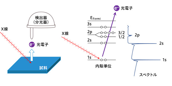 装置原理図